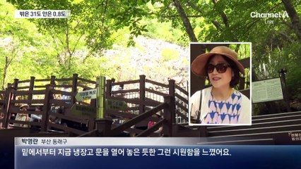 밖은 31도 안은 0.8도…이색 피서지 ‘얼음골’