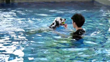 Os animais mais fofos do mundo  n•51