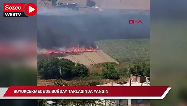 Büyükçekmece'de buğday tarlasında yangın