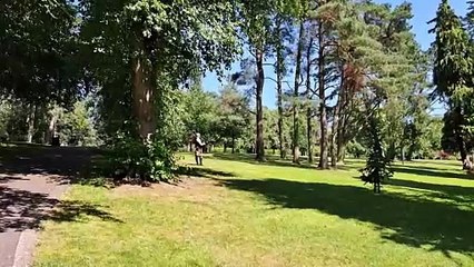 Twelfth July 2025 in Lisburn