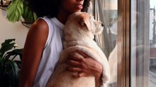 Os animais mais fofos do mundo  n•55