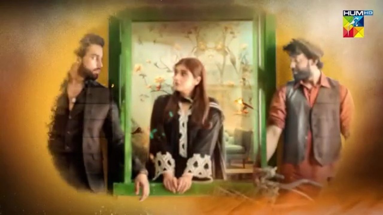 Ishq_Murshid_-_Episode_02_[]_15_Oct_-_Powered_By_Master_Paints_[_Bilal_Abbas___Durefishan_]_HUM_TV(360p)