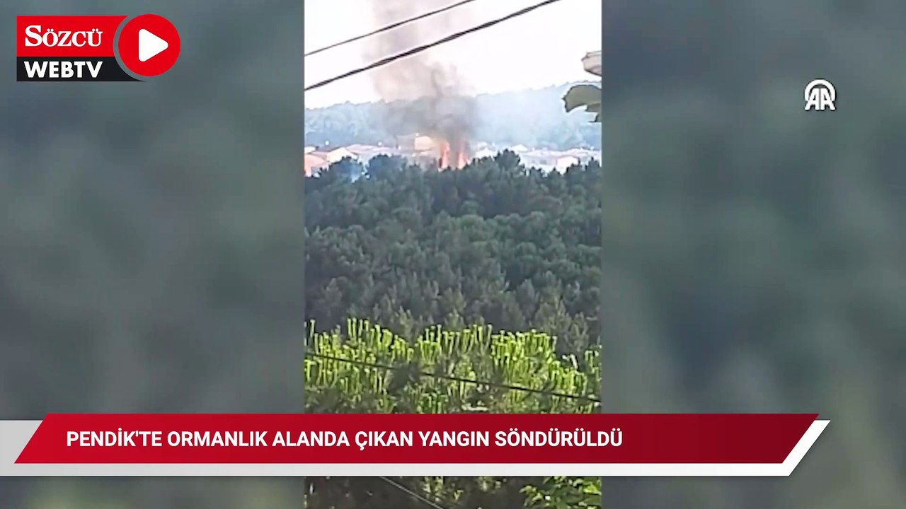 Pendik'te ormanlık alanda çıkan yangın söndürüldü
