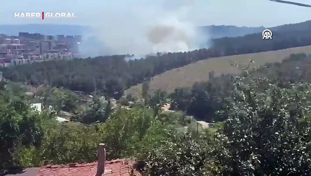 İstanbul'da Aydos Ormanı'nda yangın çıktı