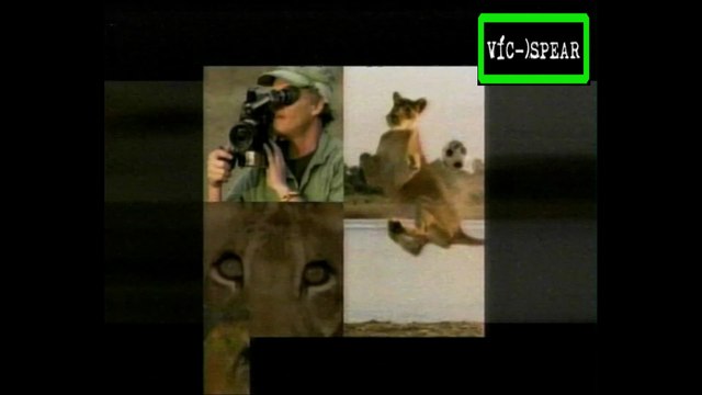 Buenos vecinos: La historia del pequeño león (1997) - Documental - Español Latino