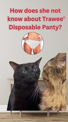 De Brief Disposable Knickers – Brazilian Style Meets Daily Comfort