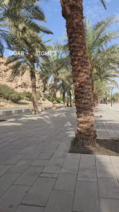 القرآن Quran