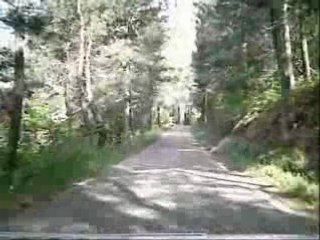 Gard 2008 es5 205 f2000.12 harnandes canino n°71