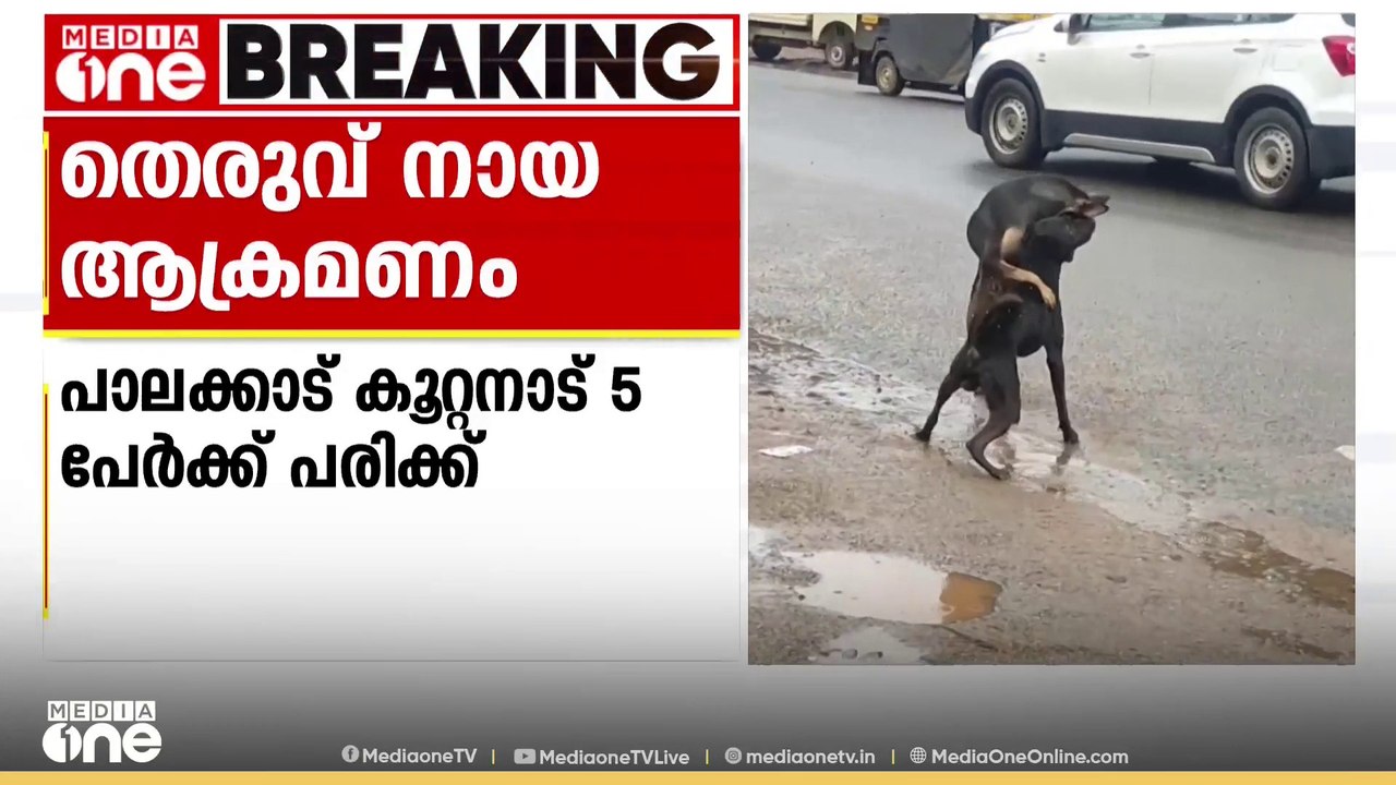 പാലക്കാട് കൂറ്റനാട് തെരുവ് നായയുടെ ആക്രമണം; അഞ്...