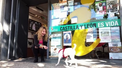 Pipper en ruta - Promo