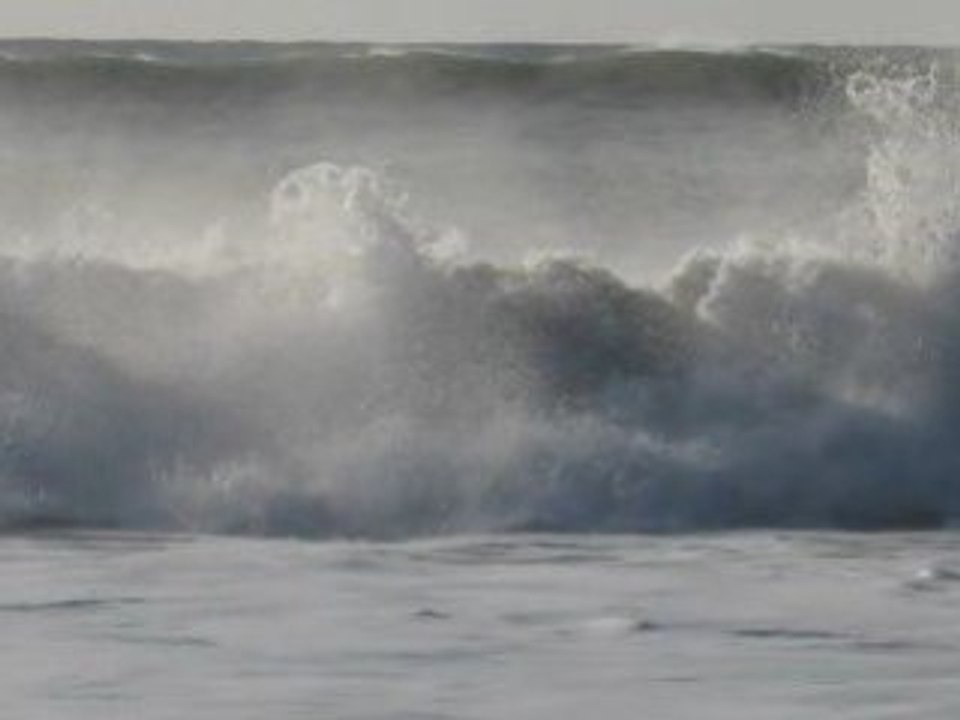 Gironde souvenirs....mai 2008