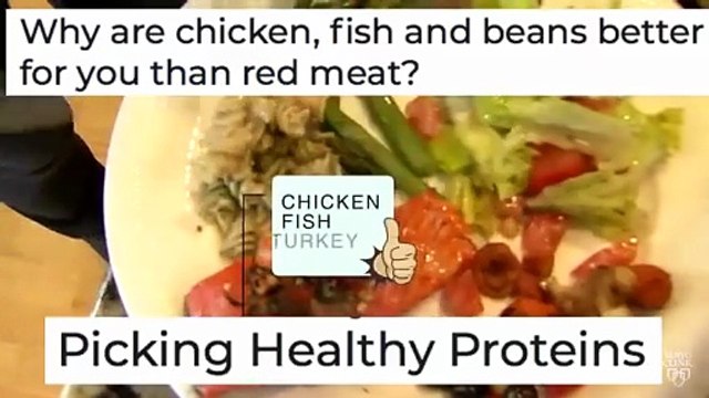 Vegetarian vs Non Vegetarian _ Which is Better (or Vegan )