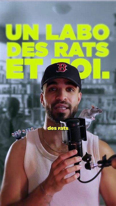 L'Expérience Choquante des Rats: La Science de l'Espoir