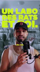 L'incroyable expérience des rats : le secret surprenant de l'espoir 🐀