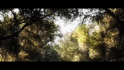 Meathook (2025) – Full Movie | Heartfelt Chinese Drama 🎬