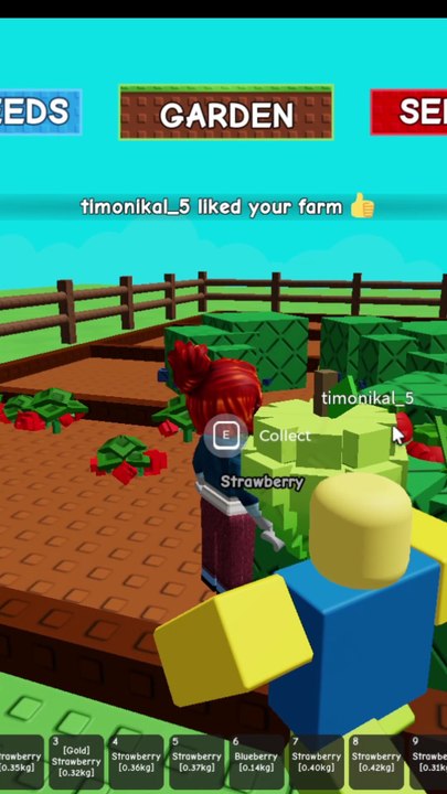 Grow a Garden Game