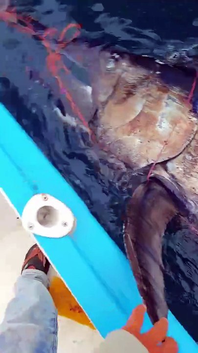 PESCADOR