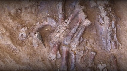 Neanderthal Skeleton Discovered at Shanidar Cave in Iraqi Kurdistan