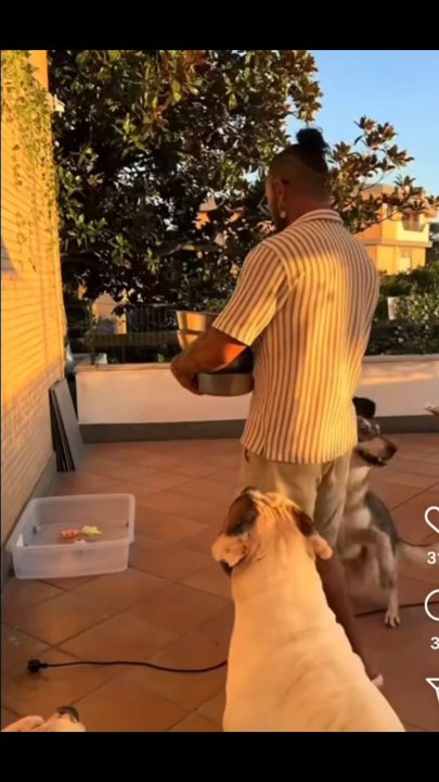 agozzinoalfredo la pappa per i miei amori
