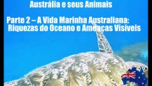 Austrália e Seus Animais Part 2 - A Vida Marinha Australiana Riquezas do Oceano e Ameaças Visíveis
