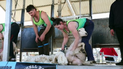 Mitch Power Quick Shear event gets men talking about mental health