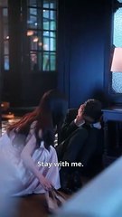 Laws Of Love And Lies