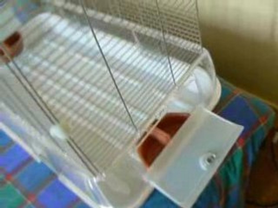 Nouvelle cage