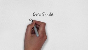 Kode Syair Boru Sunda Hari Minggu 13 Juli 2025 #PakTuntung