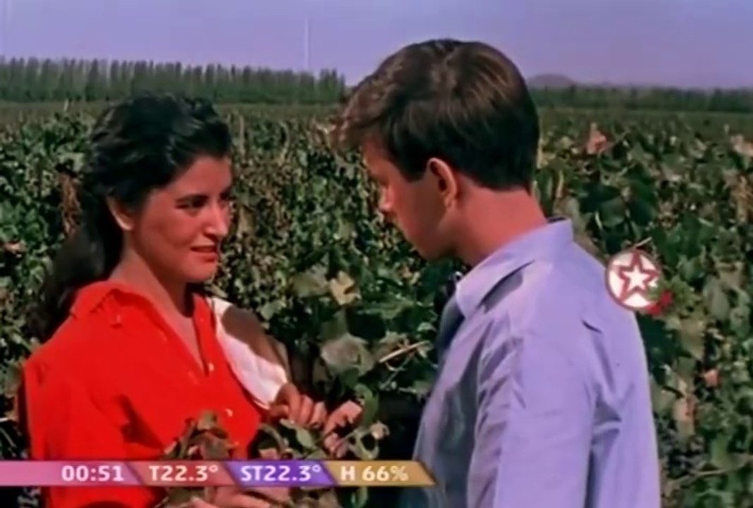 ÁLAMOS TALADOS - CINE ARGENTINO