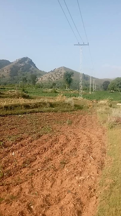 Stunning Morning Sunrise Over Seanray: A Peaceful Start in Our Beautiful Coastal Paradise