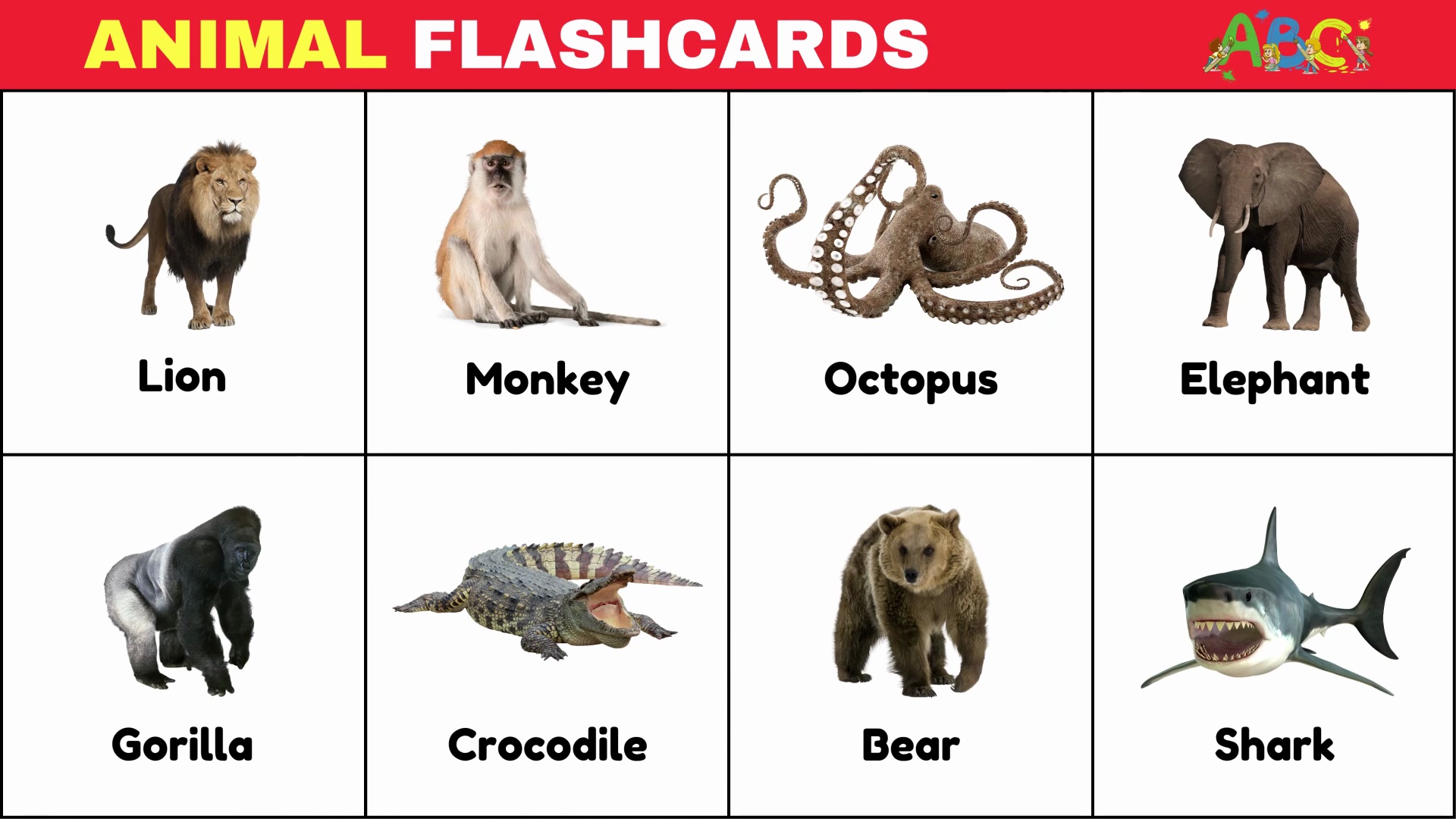 Animals for Kids | Learn Animal Names