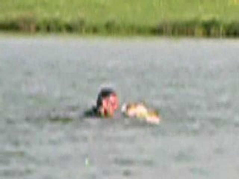 Mai 2008