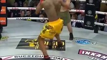 He lost his mind after a punch