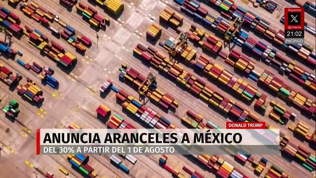 Cría de burritos y ponis para mascotas en Veracruz | Milenio Noticias, con Fernando Robles, 12 de julio de 2025