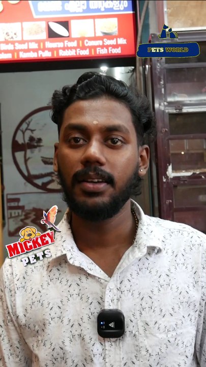 റെഡ് ഫ്രെൻഡഡ് കോന്യൂർ | Red Friendes Conure #petsworld #conure   #reels ഈ ഷോപ്പിന്റെ അഡ്രസ്സ് "മിക്കി  പെറ്റ്സ്" ബി‌ജെ‌പി ജില്ലാ ഓഫീസിന് സമീപം,പത്തനംതിട്ട.ഫോണ്‍ നമ്പര്‍ - 80896 90746/98463 90746/ 0468 2964521Mickey Pets & Aquarium,Pathanamthitta