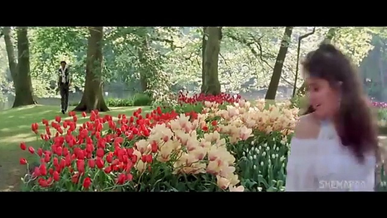 Chand Sa Chehra /1996 Ajay / Sunny Deol ,Karishma Kapoor,Kumar Sanu, Alka Yagnik