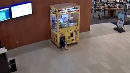 Un enfant se coince dans une machine à pince