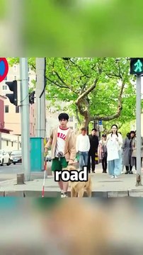 Adoring chinese film #chinesedramalovers #chinese #cdrama #chinesedrama #tvdrama #film