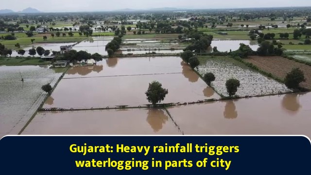 Gujarat: Heavy rainfall triggers waterlogging in parts of city