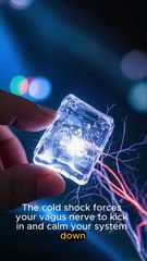 Vagus Nerve Reset for Panic Attacks