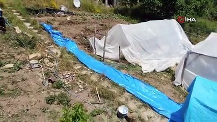 Kavurucu sıcaklar canına tak edince kendi aquaparkını kendisi yaptı