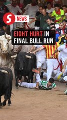 Eight injured in final bull run at Spain's San Fermin festival