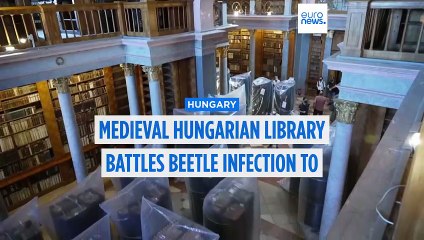 Medieval Hungarian library battles beetle infection to save national treasures