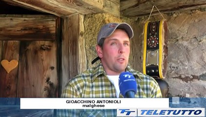 Video News - Quando il malghese custodisce la montagna
