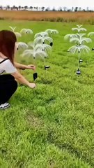 How to solar light for videos the solar light for videos