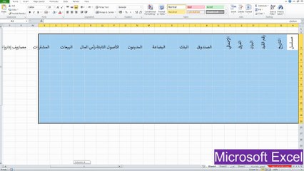 نسخ التنسيقات - عمل مقارنة في الاكسيل المحاسبي