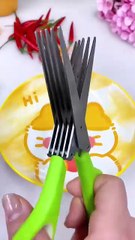 How to vegetable cutter for videos the vegetable cutter for videos