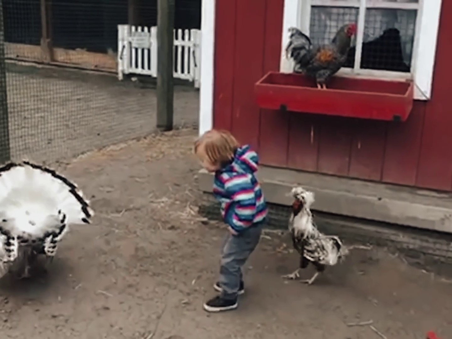 ⁣Funny Chickens Chase Troll Babies & Kids 😂 | Hilarious Baby & Pet Moments
