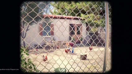 Τουρίστας (Μικρές Ιστορίες)