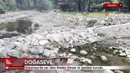 Sakarya’da korkutan manzara: Doğaseverlerin gözdesi kurudu